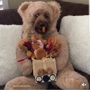 Meet your Posher, Dana